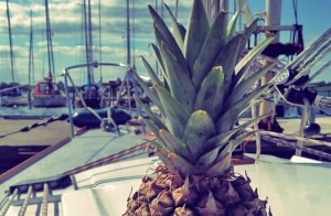 Segelrezepte Zutaten Kombüse