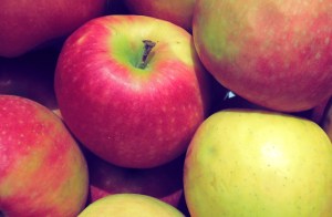 Segelrezepte Zutaten Kombüse