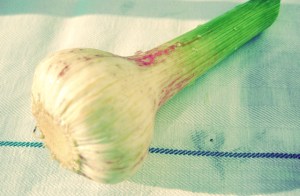 Segelrezepte Zutaten Kombüse