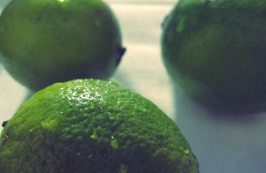 Guacamole Rezept Segeln Camping Proviant