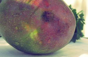 Segelrezepte Zutaten Kombüse