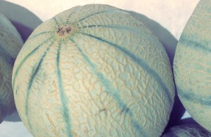 Segelrezepte Zutaten Kombüse