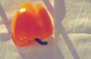 Segelrezepte Zutaten Kombüse