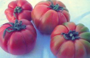 Segelrezepte Zutaten Kombüse