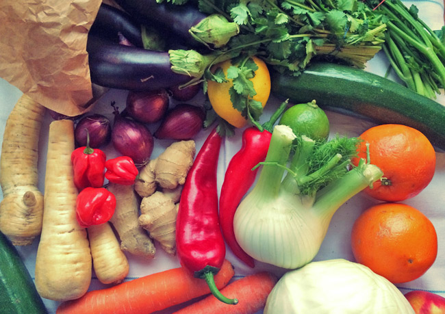 Gemüse, Kräuter, Obst, Proviant richtig lagern beim Segeln