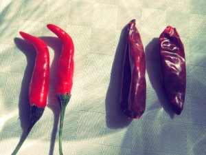 Segelrezepte Zutaten Kombüse