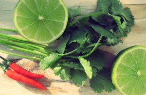 Kartoffelstampf Asiatisch Segeln Kombüse