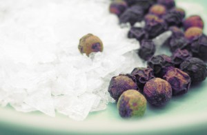 Segelrezept Tomaten Eier Pfanne