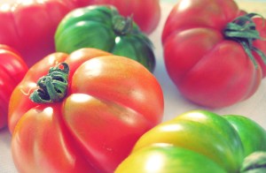 BBQ Segelrezept Toamtensalat