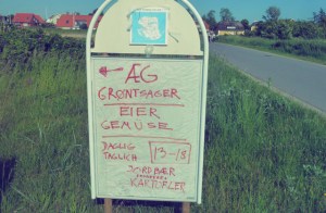 Segeln kulinarisch Aarö