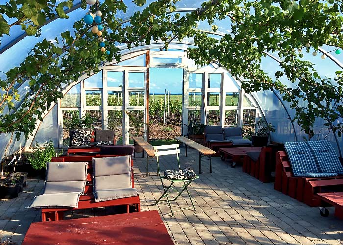 Aarös Vingard Chillig