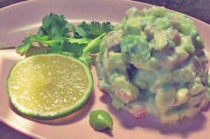 Matjestatar Seglerküche Pantry Proviant