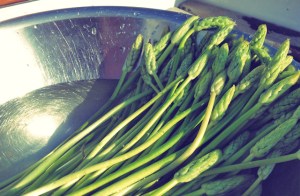 Segelrezepte Wilder Spargel