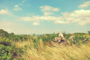 Törnziel dänische Insel