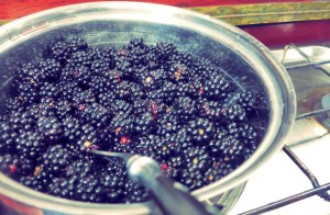 Segelrezepte Bordküche