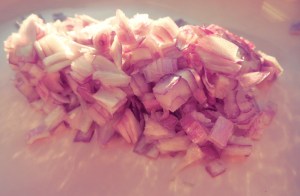 Schalotten Proviant Was kochen beim Segeln und Camping