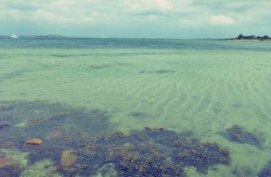 Törnziel Segeln Hafen