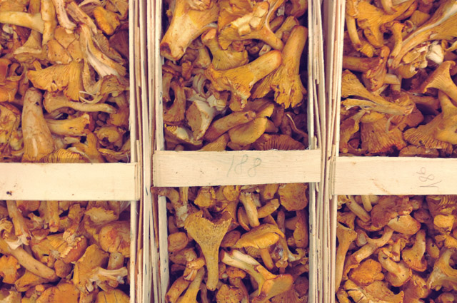 Pfifferlinge Pasta Bordrezept Segeln