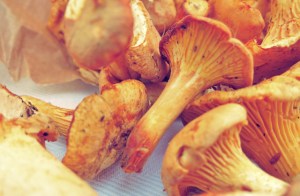 Pfifferlinge Pasta Bordrezept Segeln