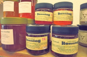 Törnziel Segeln Dänische Südsee