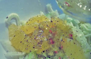 Salat Fenchel Kombüse Segelrezept