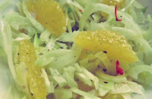 Salat Fenchel Kombüse Segelrezept
