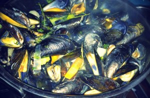 Muscheln Seemannsart Segeln Kombüse