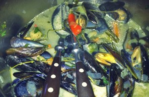 Muscheln Seemannsart Segeln Kombüse