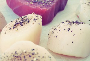 Thunfisch Jaobsmuscheln Segelrezept Kombüse