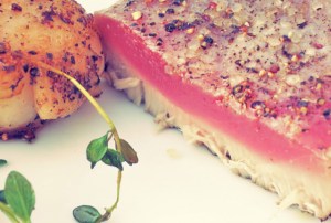 Thunfisch Jaobsmuscheln Segelrezept Kombüse