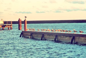 Schleimünde Giftbude Segelküche