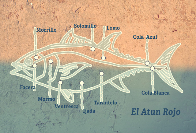 Thunfisch Cuts Segeln Kombüse