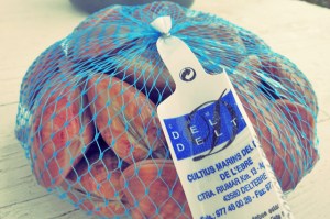 Muscheln Rezept Kombüse Segeln