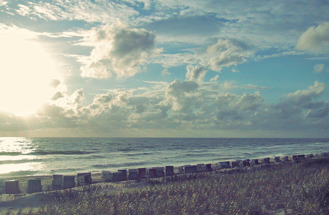 Austern Essen beim Segeln