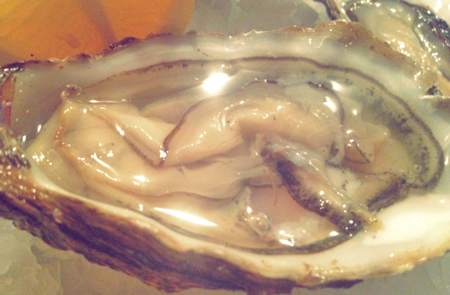 Austern Essen beim Segeln