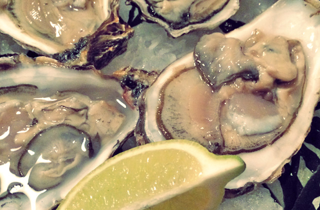 Austern essen beim Segeln