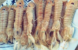 Segelrezepte mit Krebs Kombüse