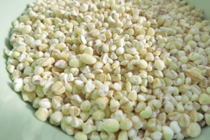 Perlgraupen Segel Rezept Kombüse