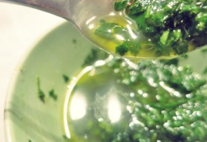 Fenchel Kalbskotelett Kombüse Segelrezept