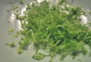 Fenchel Kalbskotelett Kombüse Segelrezept
