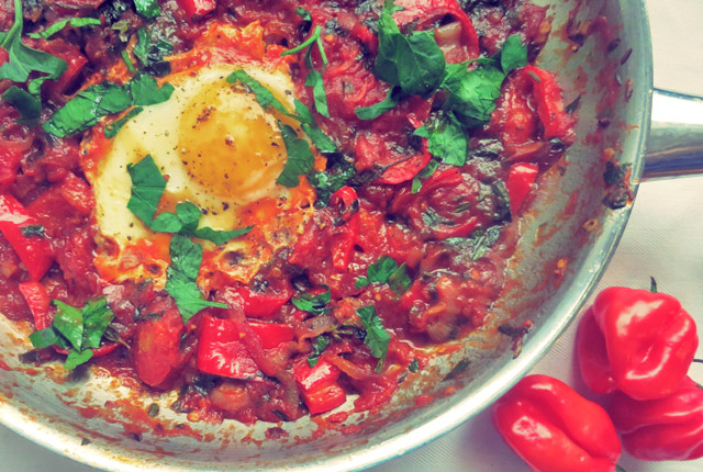 Shakshouska Frühstück Kombüse