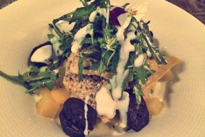 SPO Restaurants, Kochen und Meer