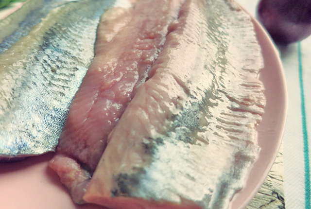 Matjes Hausfrau Fisch Close up