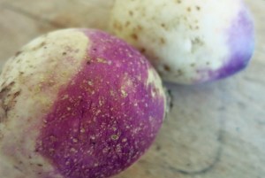 Rohkostsalat Proviant Segeln und Camping