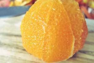 Rohkostsalat Proviant Segeln und Camping