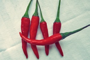 Chili con Carne. Perfektes Segelrezept