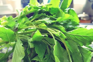 Fried Rice Rezept für Segeln und Camping