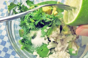 Guacamole Rezept Segeln Camping Proviant