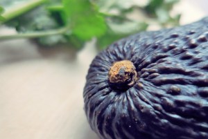 Guacamole Dip Rezept Segeln, Camping und Outdoor