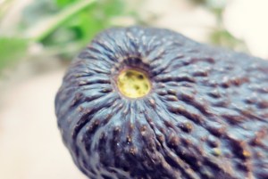 Guacamole Dip Rezept Segeln, Camping und Outdoor